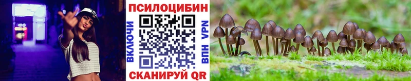 купить  сайты  Рыбинск  Псилоцибиновые грибы Psilocybe 